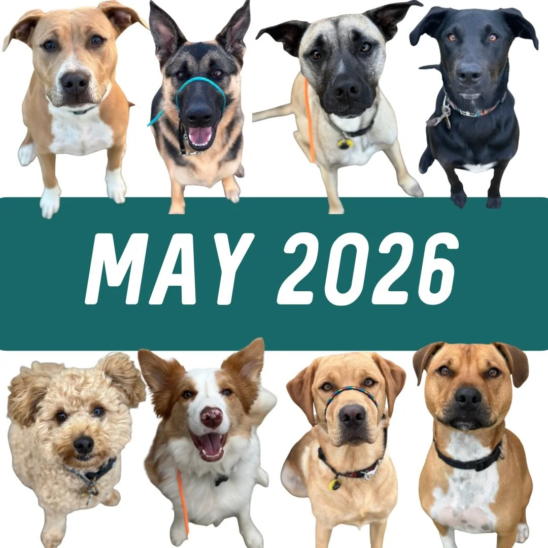 ✨ May 2026 ✨

How are we already talking about May&hellip; 🤯

🔥 Private Consults 🔥

Weekends are still in high demand!
Sundays are currently booked out until June, with only 2 Saturdays remaining (23rd + 30th).

Next available weekday sessions:
✨ 