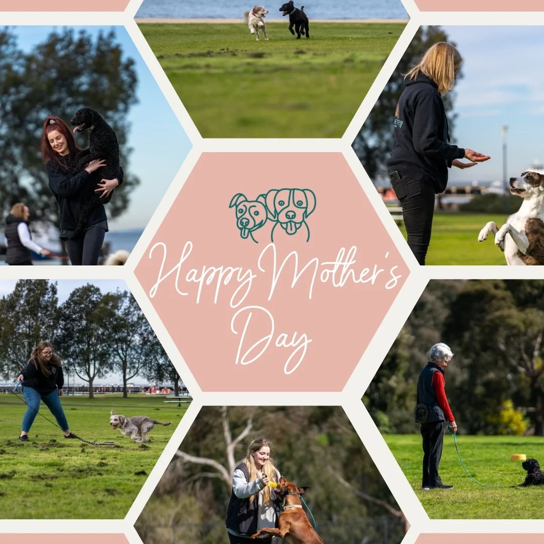 💐💐💐

Happy Mother&rsquo;s Day to all the amazing mums, mums-to-be, dog mums and those who hold a mother&rsquo;s love in their hearts.

Today we celebrate your unconditional love, endless support, and unwavering devotion. 🐾🧡