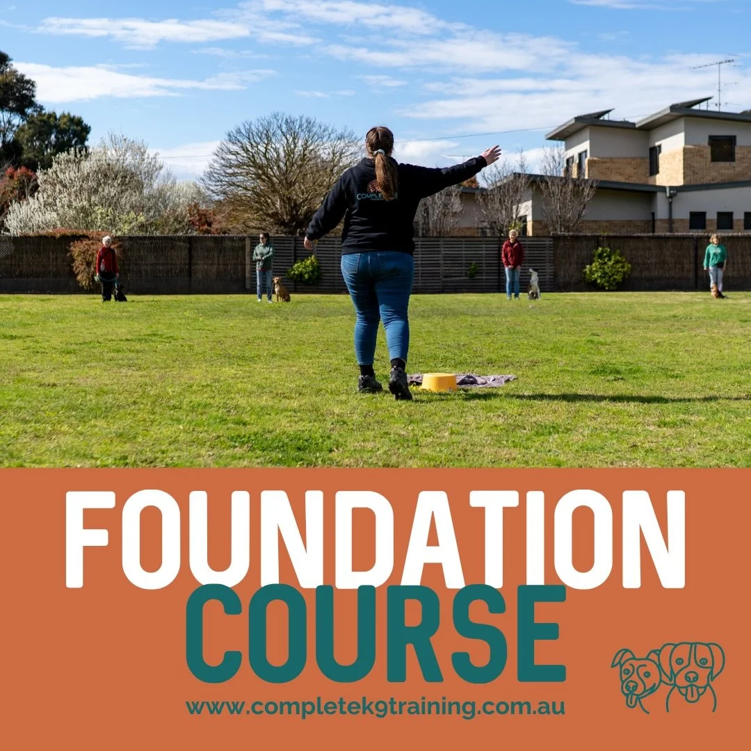 📢🚨 FOUNDATION COURSE 🚨📢 

Our Foundation Course is back, revamped and ready to go 🔥🔥 

This course is designed to help build engagement, communication, neutrality and real-world skills in a supportive and structured environment 🐾 

This isn&rs