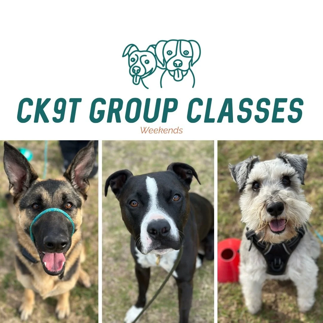 🐾 Group Classes 🐾

This morning&rsquo;s crew smashed it as always 🔥

We continued with our station rotations today, giving everyone the chance to work through a variety of skills while keeping things fun and engaging!

We kicked things off with en