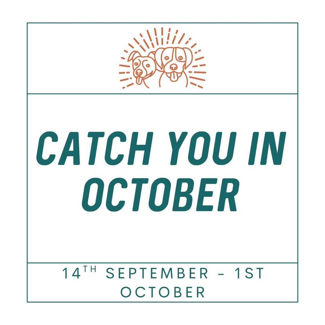 Catch you in October 👋🏼

CK9T is taking a little break from 14th September &ndash; 1st October!

I&rsquo;m heading off for some much needed time out, with a little trip to Sydney thrown in for a seminar 🔥 Hopefully coming back with a refreshed bra