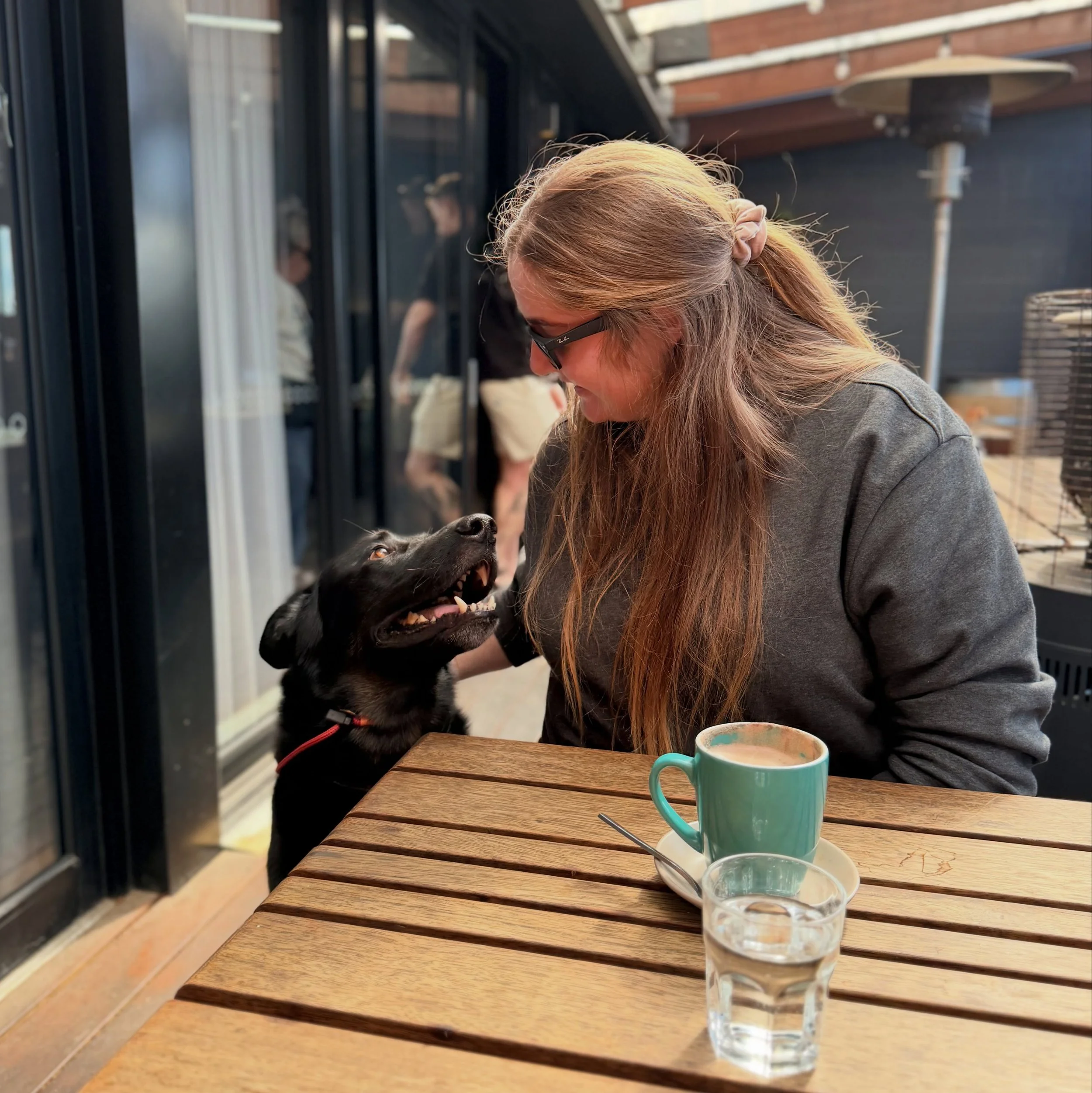 Just a little reminder that Koda and I are still on a break and won&rsquo;t be back until October! 🧡

Our time off looks a little different this time around. With Koda&rsquo;s health stuff popping up right before we left, he&rsquo;s very much forced