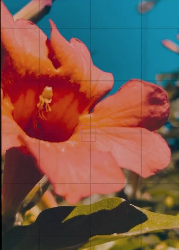 Screen Shot 2022-02-16 at 6.54.19 PM.png