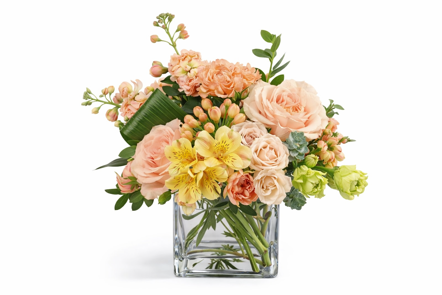 Timeless and Tranquil