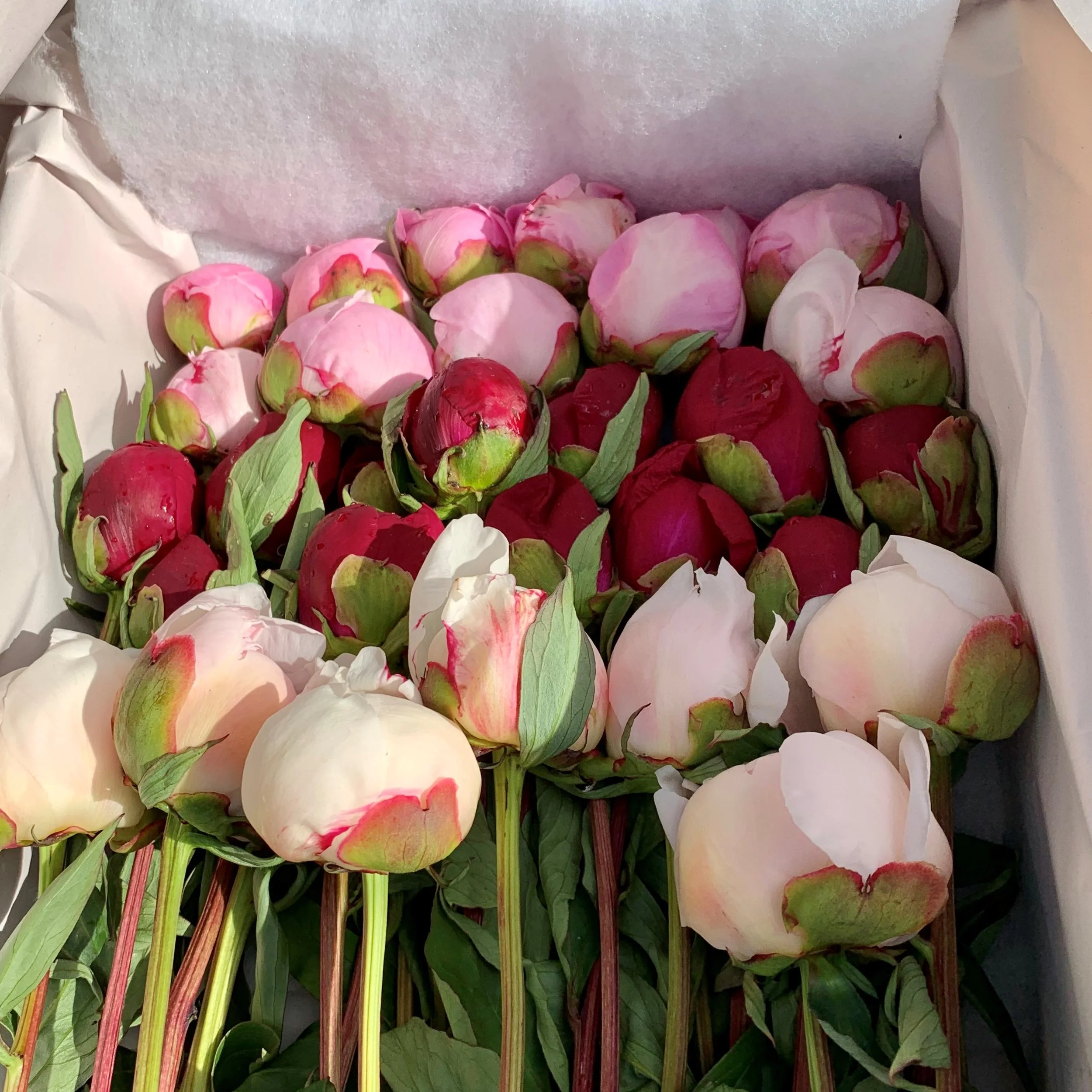 box 2 peonies.jpg