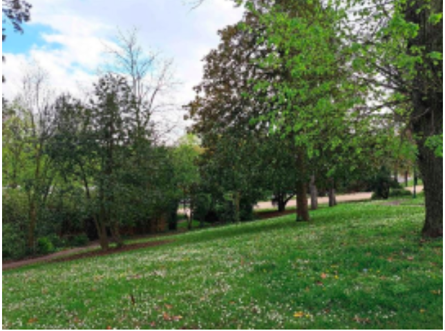 Visite de 3 jardins classés à quelques pas du centre-ville du Mans — EC&J