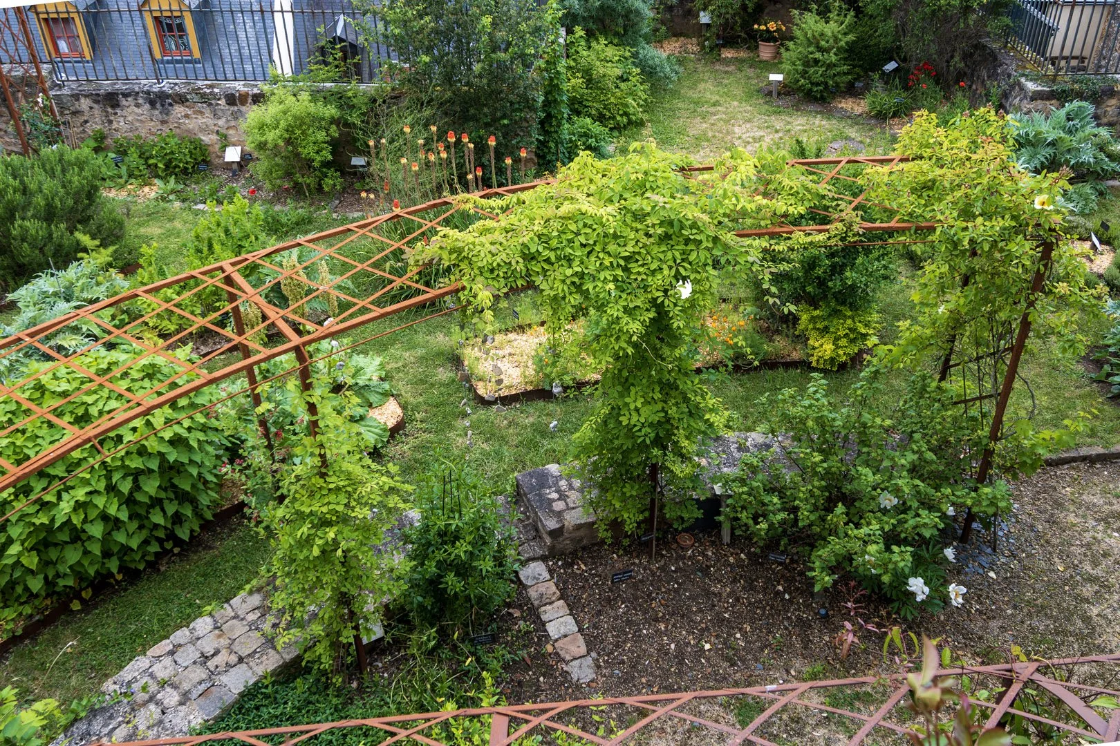 DSC_1823.jpg