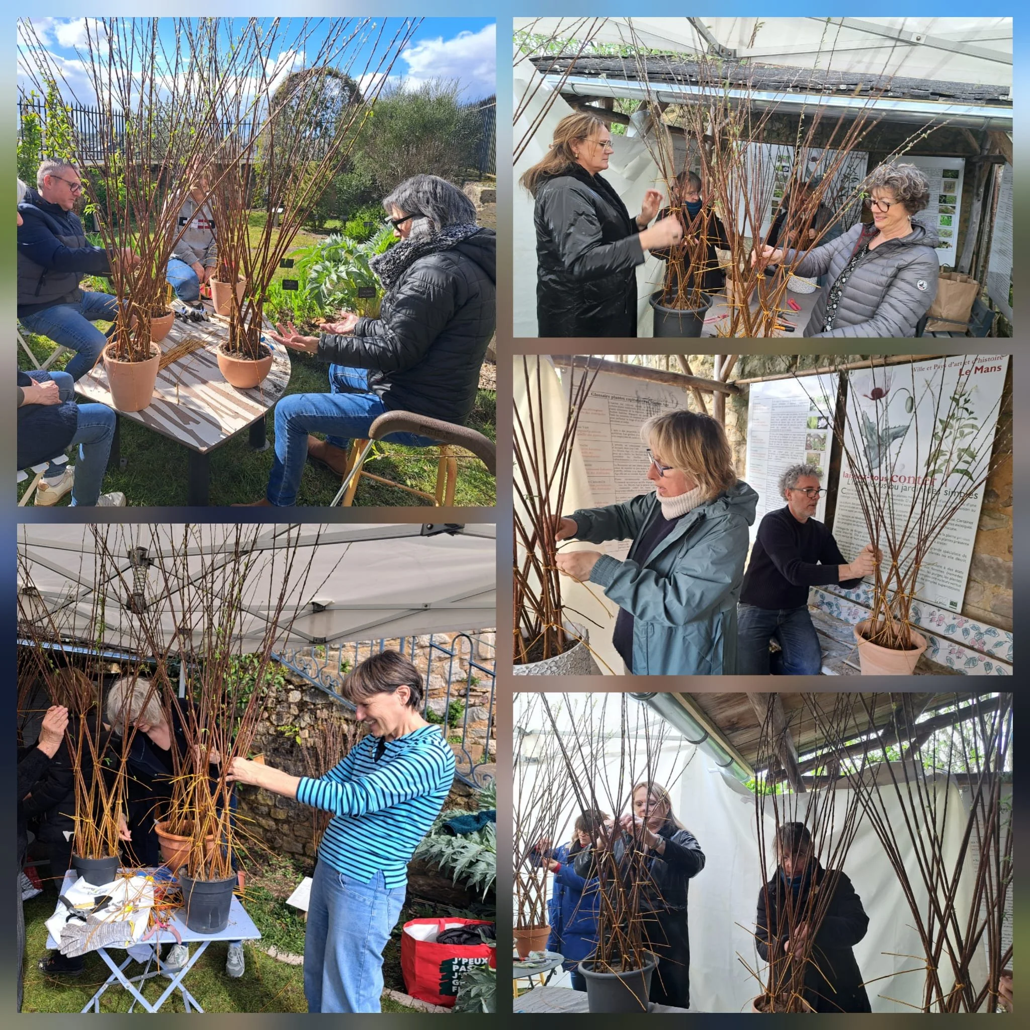 Atelier Brin d'osier_mars 2026_collage 4.jpeg