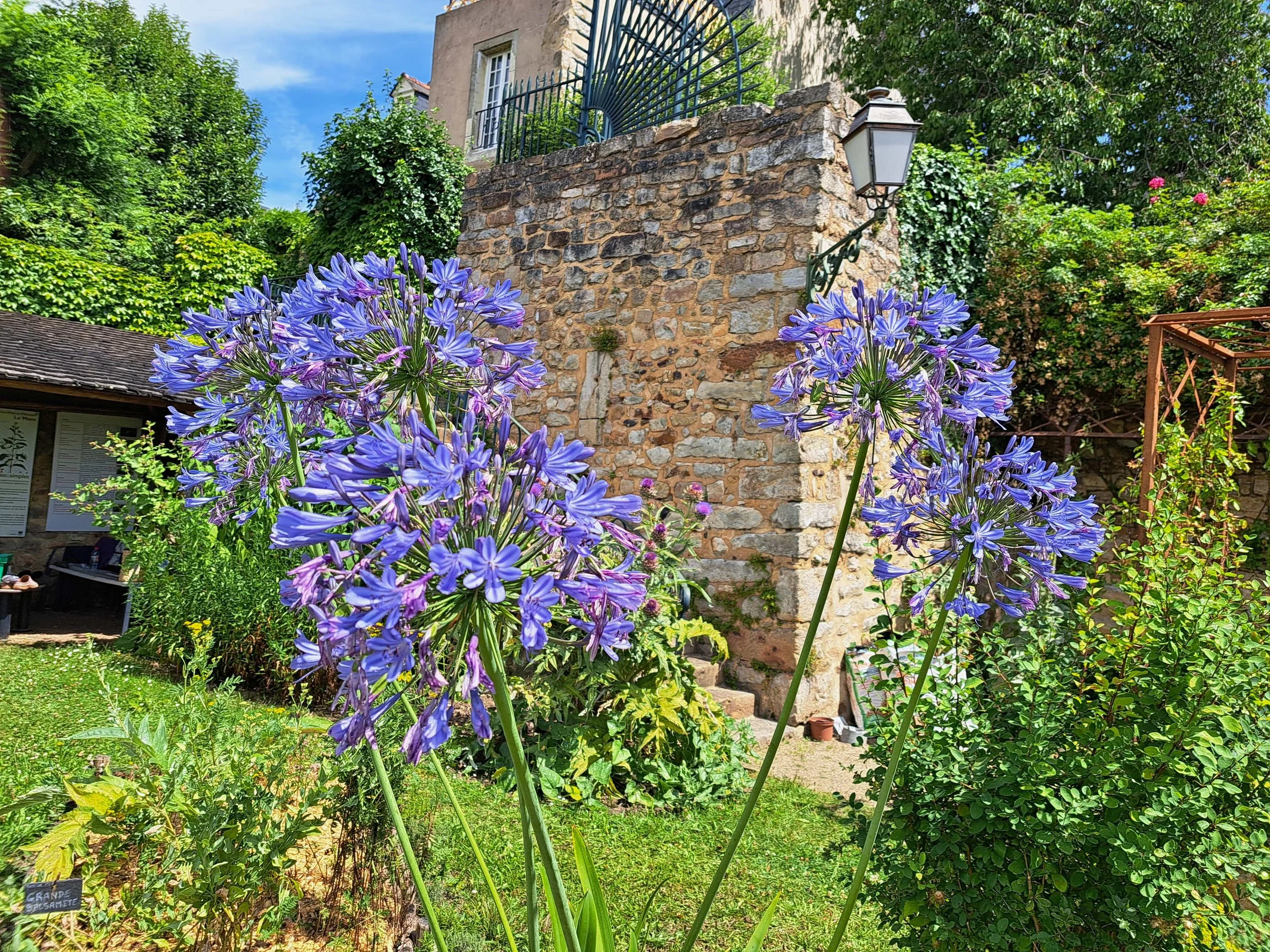 JDS_photo e bis.jpg
