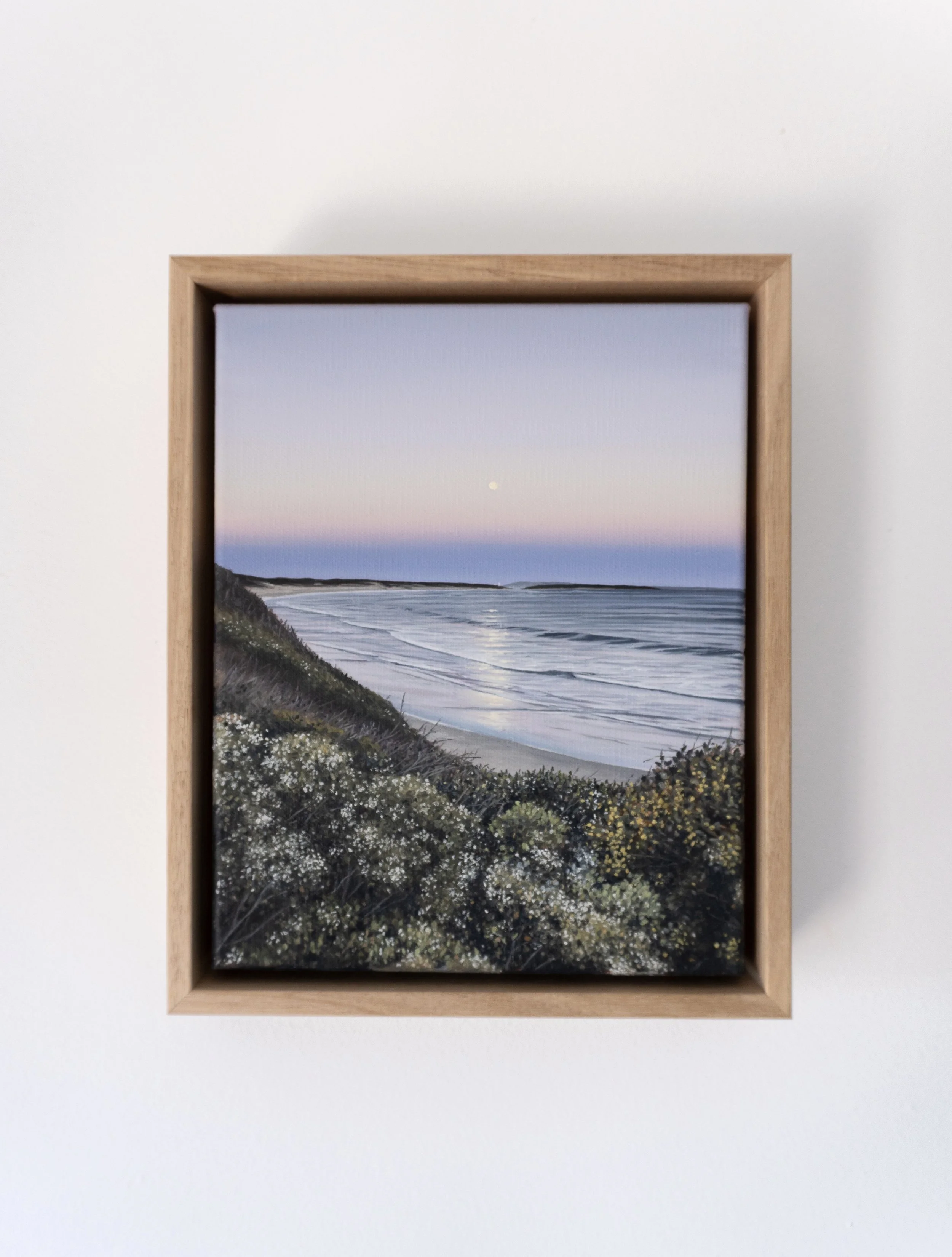 Supermoon, Ocean Grove