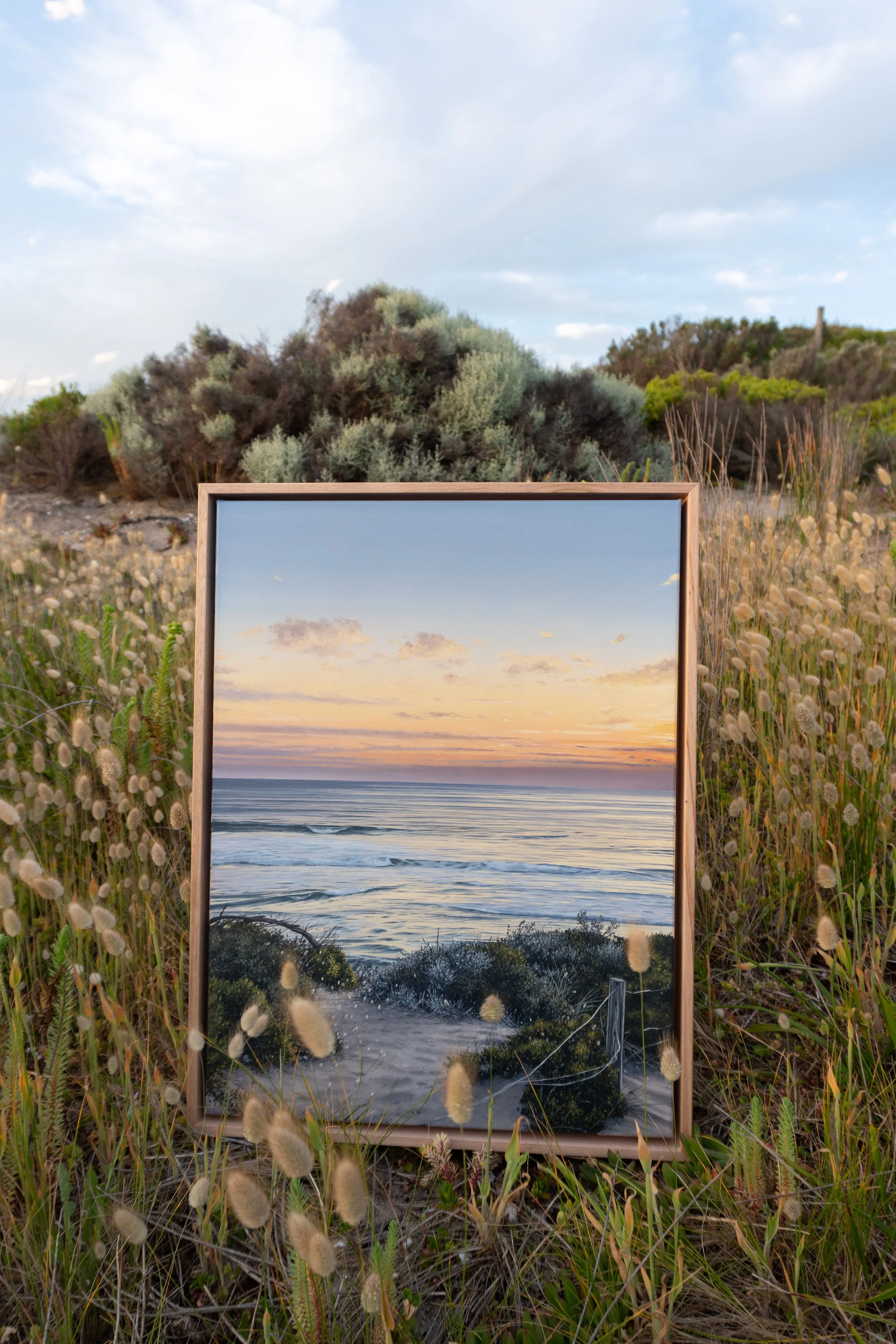 Magic Light - bunny tails.jpg