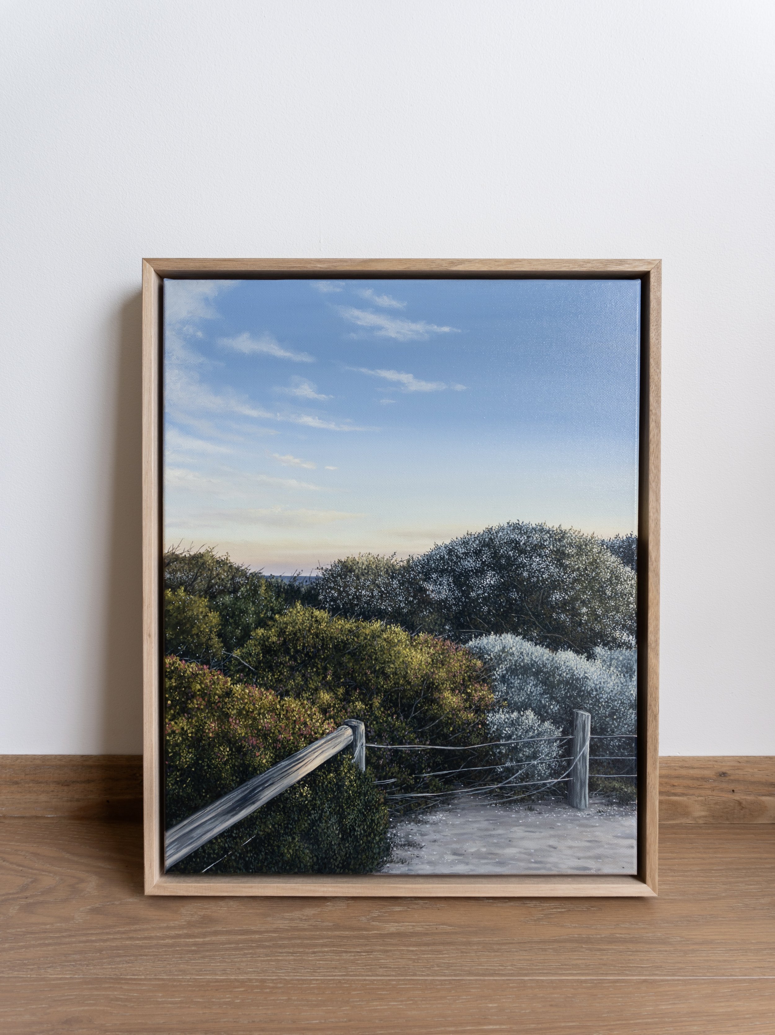 Following the Beach Tracks in Spring