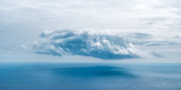 Nuevos espacios físicos y virtuales en Tránsito 2000