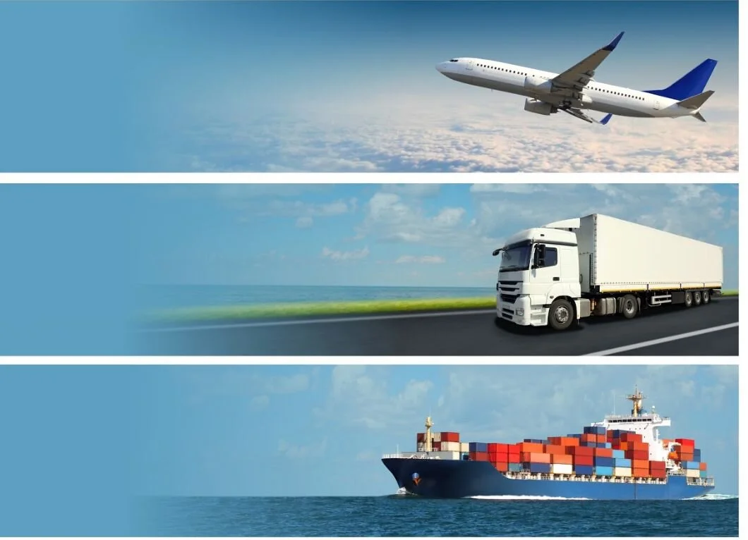 Bolipesk: transformación y modernización de la mano de Visual Trans