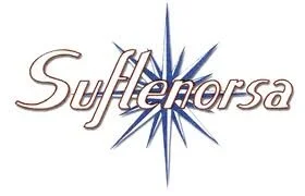 El Grupo Suflenorsa agiliza su gestión con aplicaciones de Visual MS