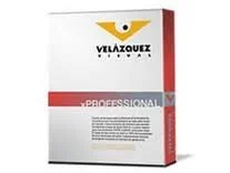 VisualMS seleccionada como EDV