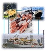 ADF - Serveis Integrals de Carrega  de la mano de Visual Trans (Soft Trans)