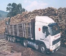 El grupo empresarial Ceferino Nogueira incrementa el tráfico de mercancías