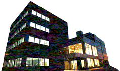 Mejora en la política de Sistemas Internos de Visual Trans