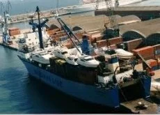 Nordana: nuevo destino en su ruta por Centroamérica y Golfo: Colombia