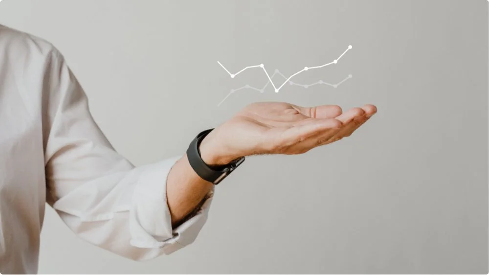 Business Intelligence (BI) con Visual Trans | Novedad versión 20.08.