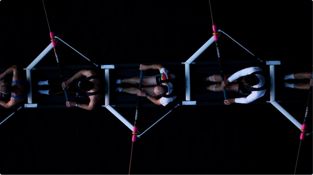 Visual Trans: Software y personas