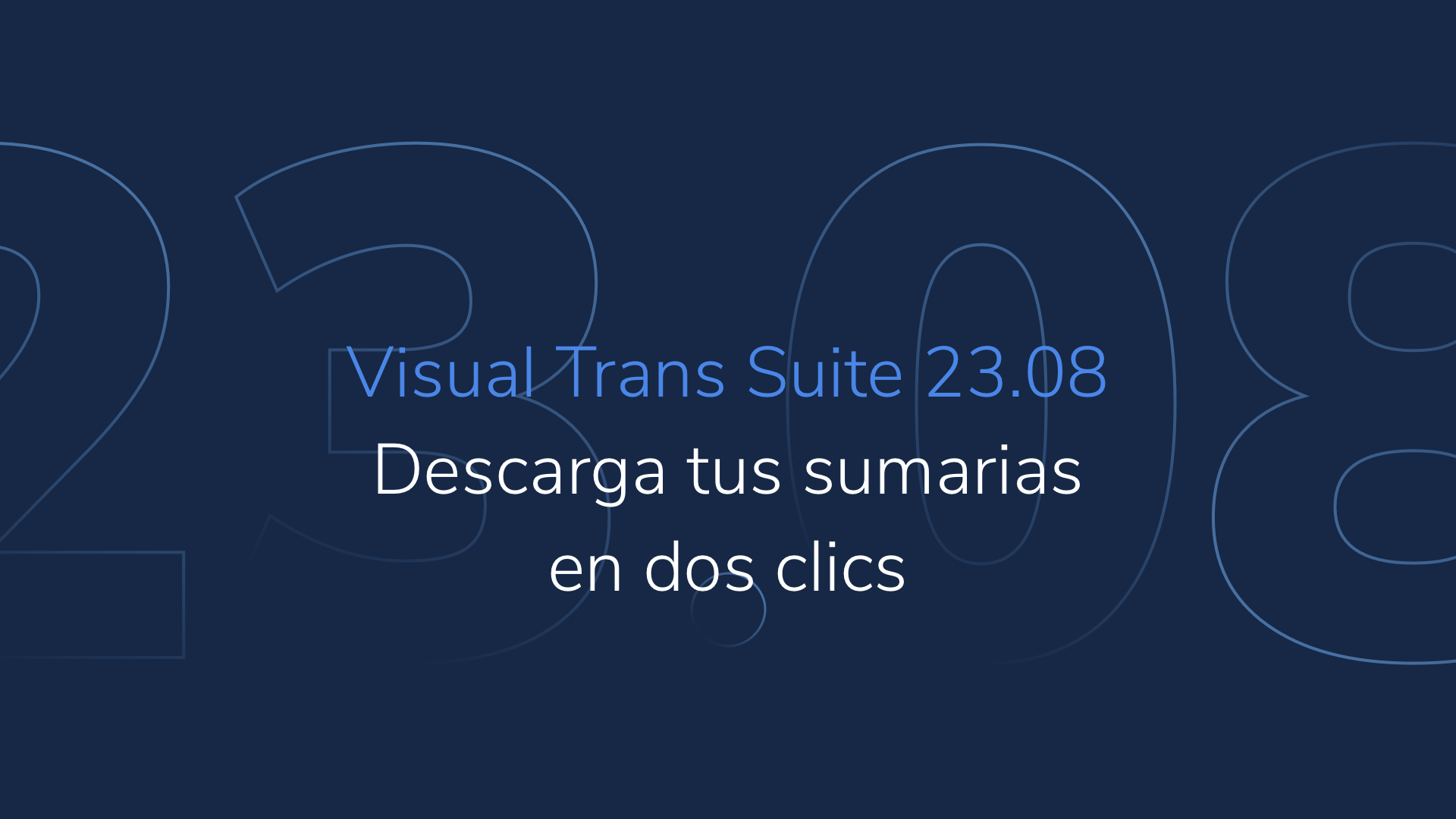 Visual Trans Suite 23.08: Descarga tus sumarias en dos clics