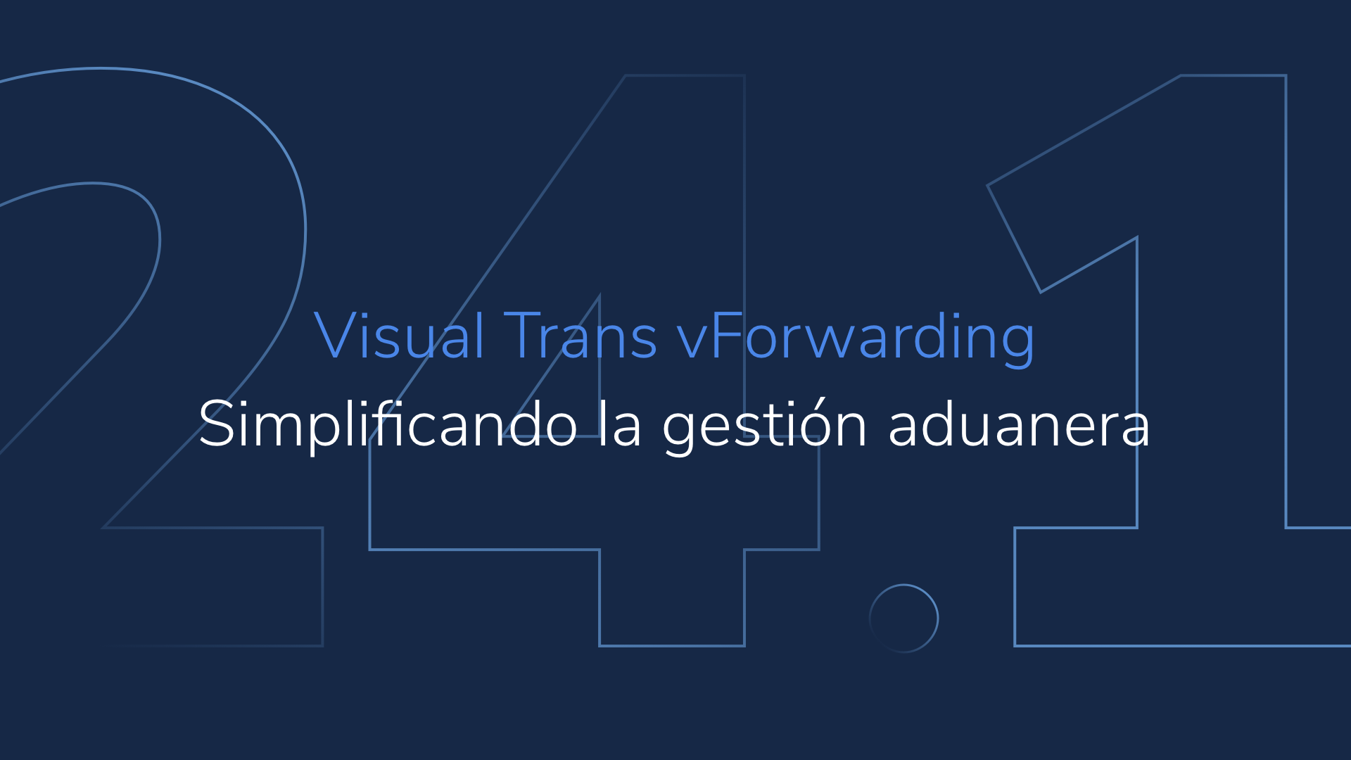 Visual Trans vForwarding 24.1: Simplificando la gestión aduanera