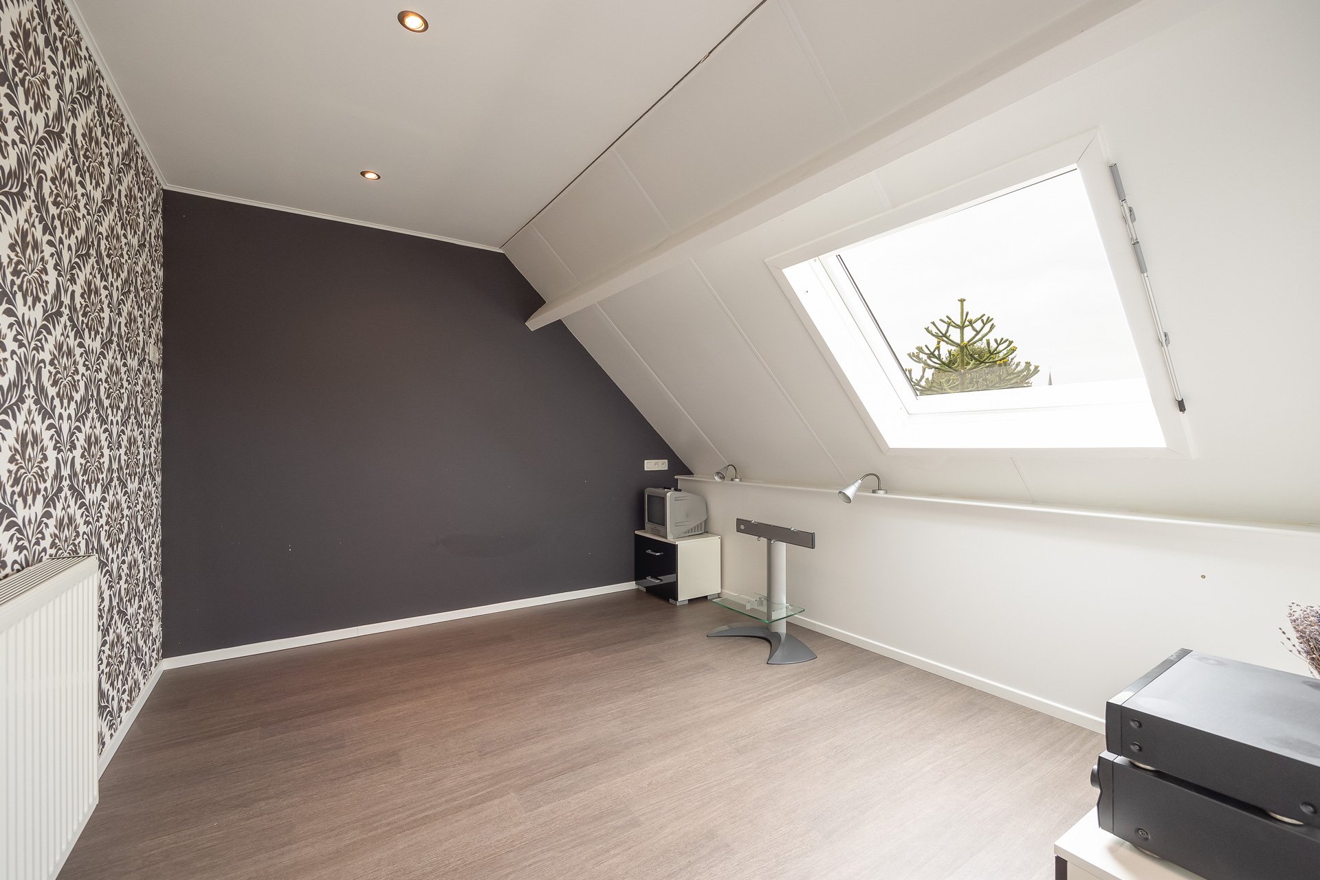 NEST-20240812-1-34.jpg