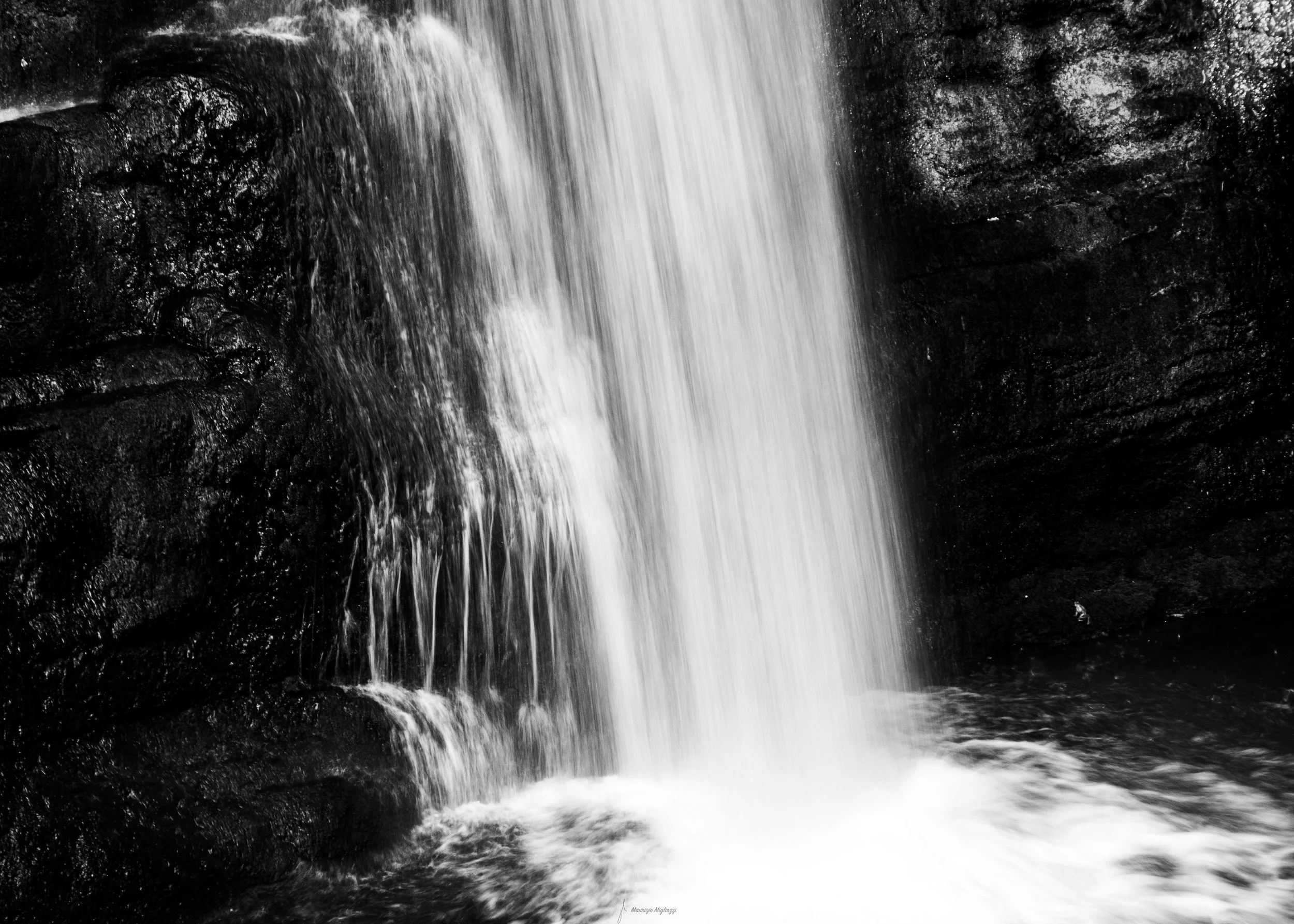 _DSF0319.jpg