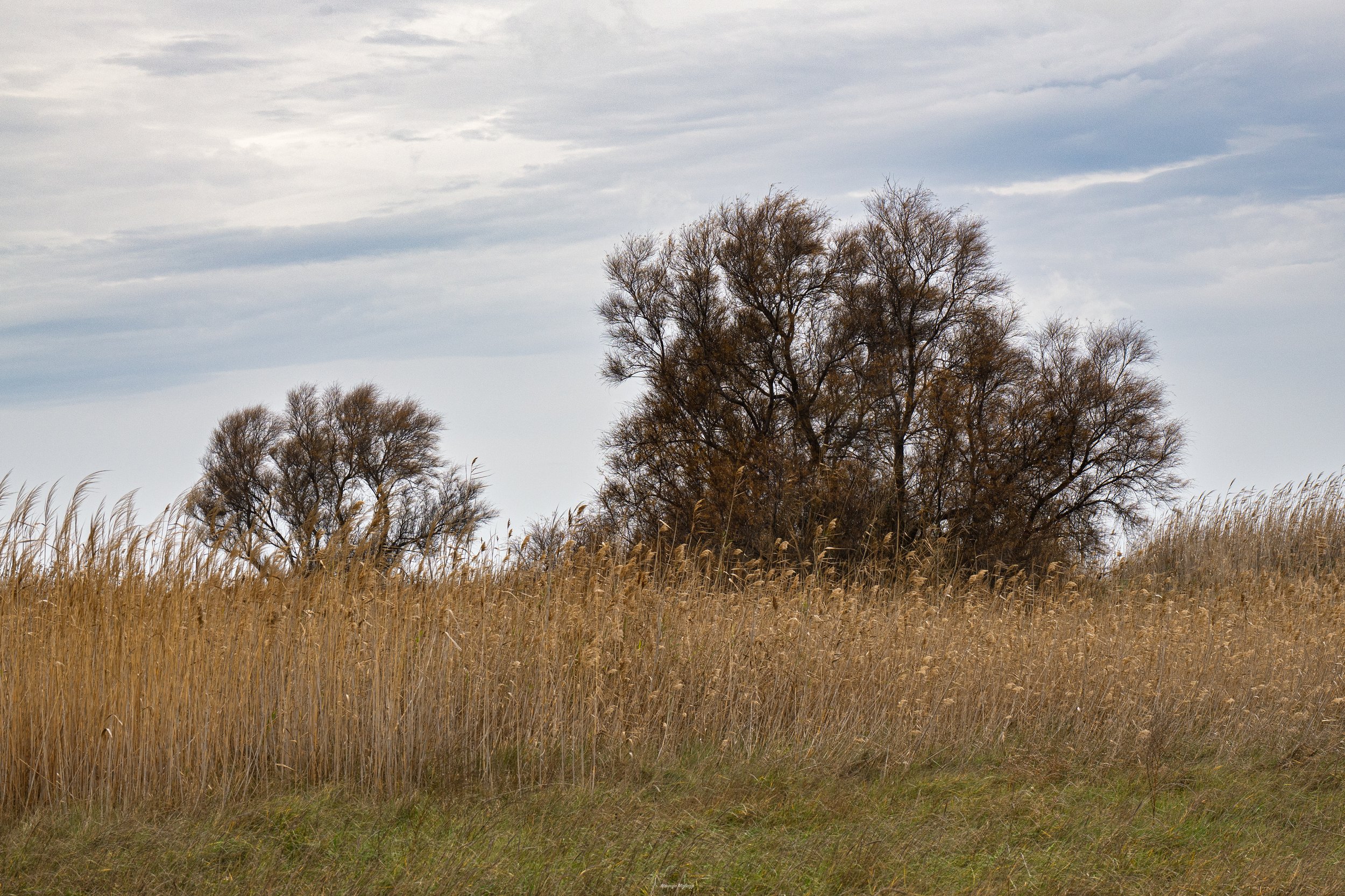 _1031233-Modifica.jpg