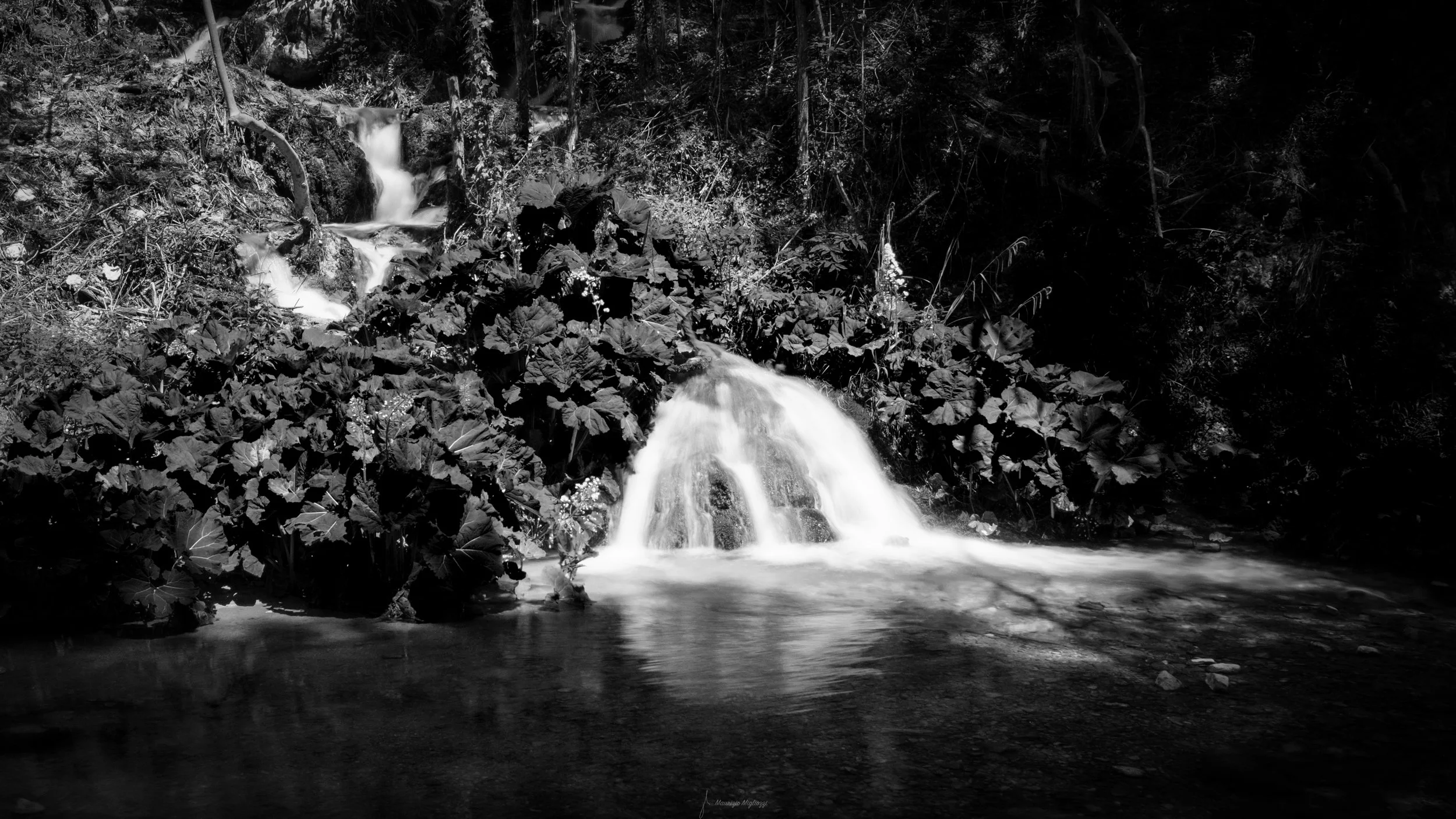 _DSF0412-HDR-Modifica.jpg