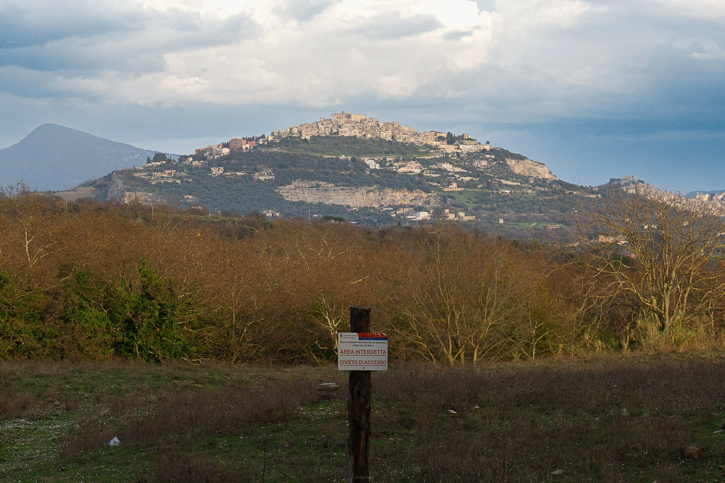Panoramica_senza titolo-1.jpg