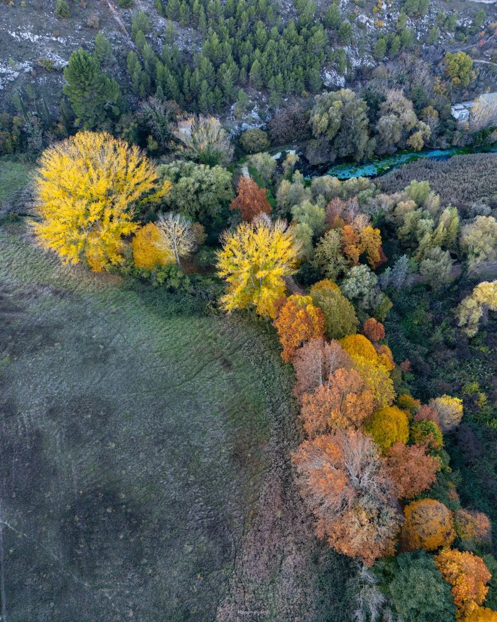 DJI_0197-Modifica - dimensioni grandi.jpeg