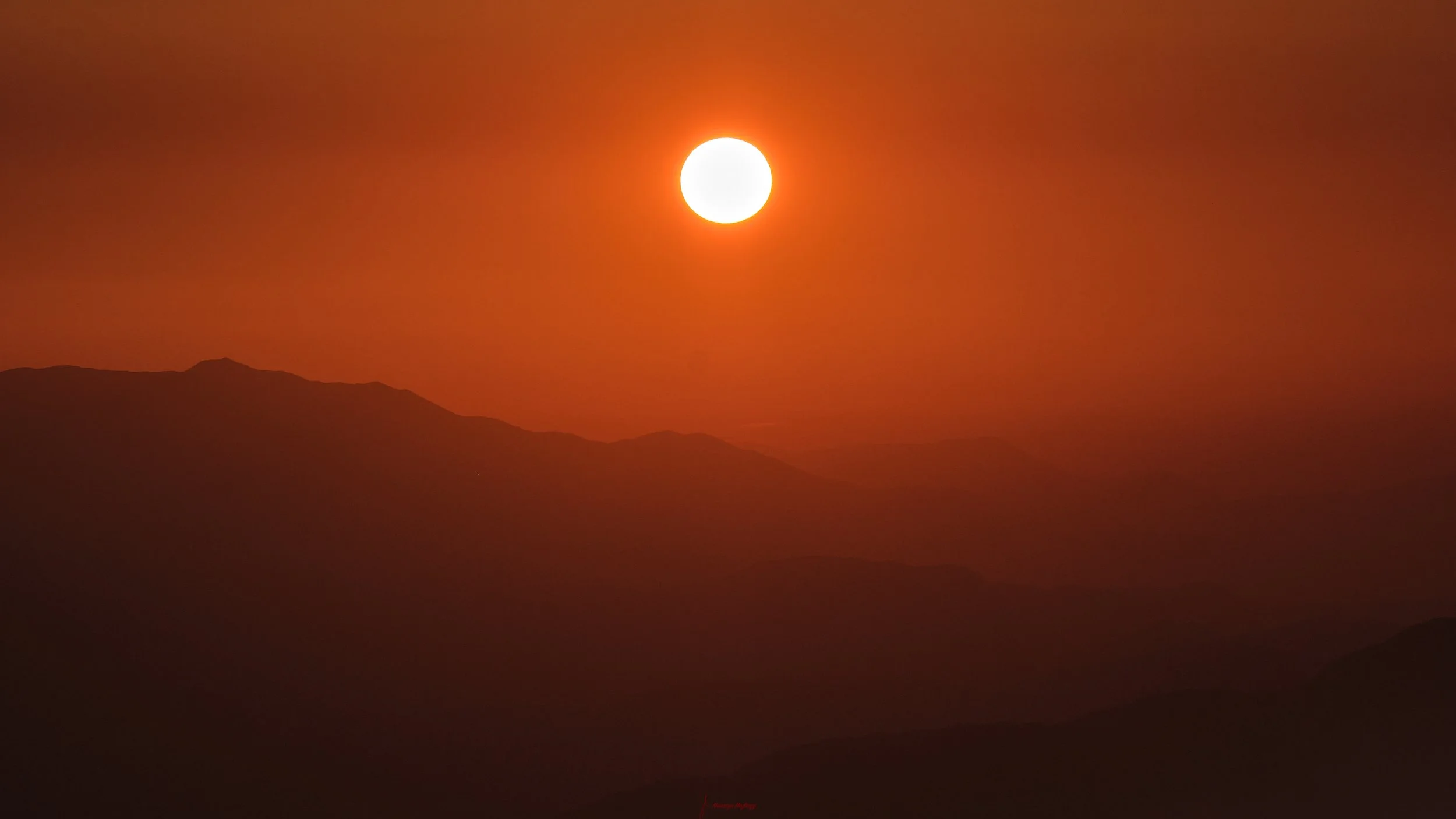 _DSF7755.jpg