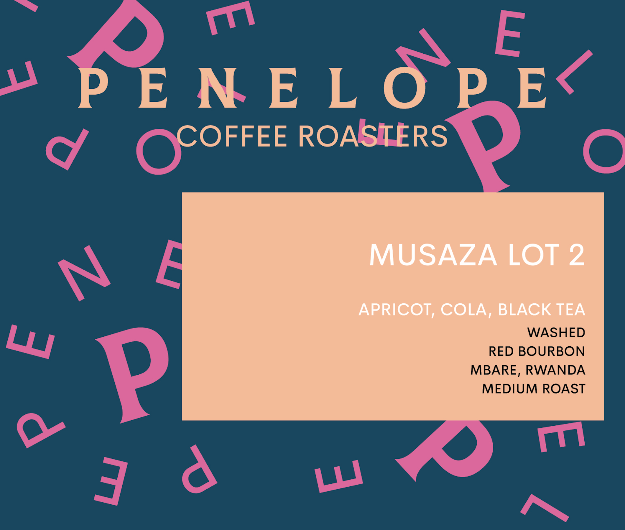 RWANDA | WASHED | MUSAZA LOT 2