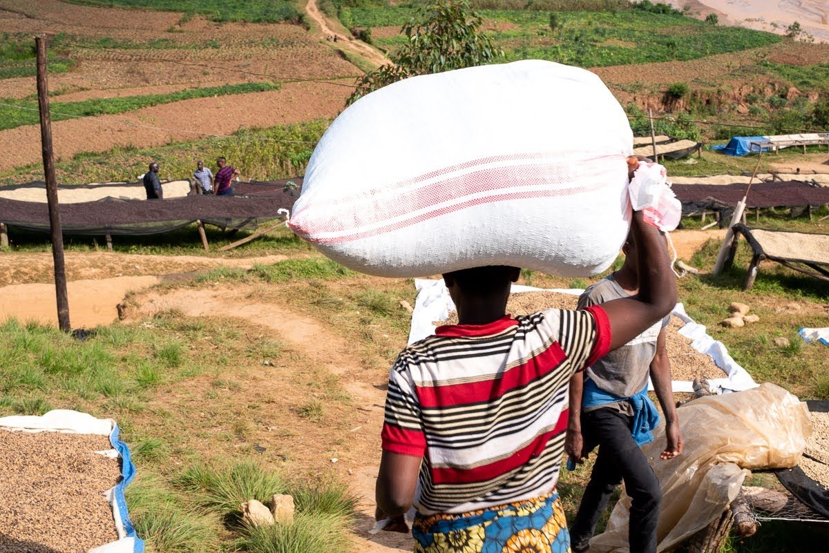 Burundi decaf Co2 sack carry.jpeg