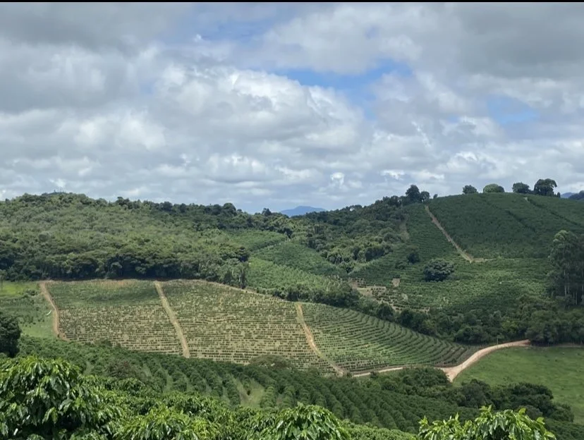 BRAZIL FARM JULIO.jpeg