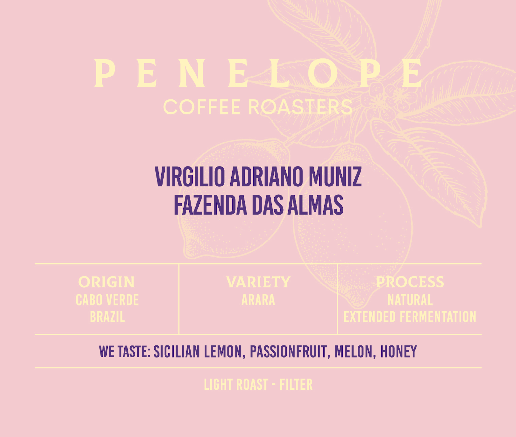 BRAZIL | NATURAL - EXTENDED FERMENTATION