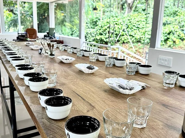 COVOYA---COFFEE---INDIA---RATNAGIRI---3.jpg