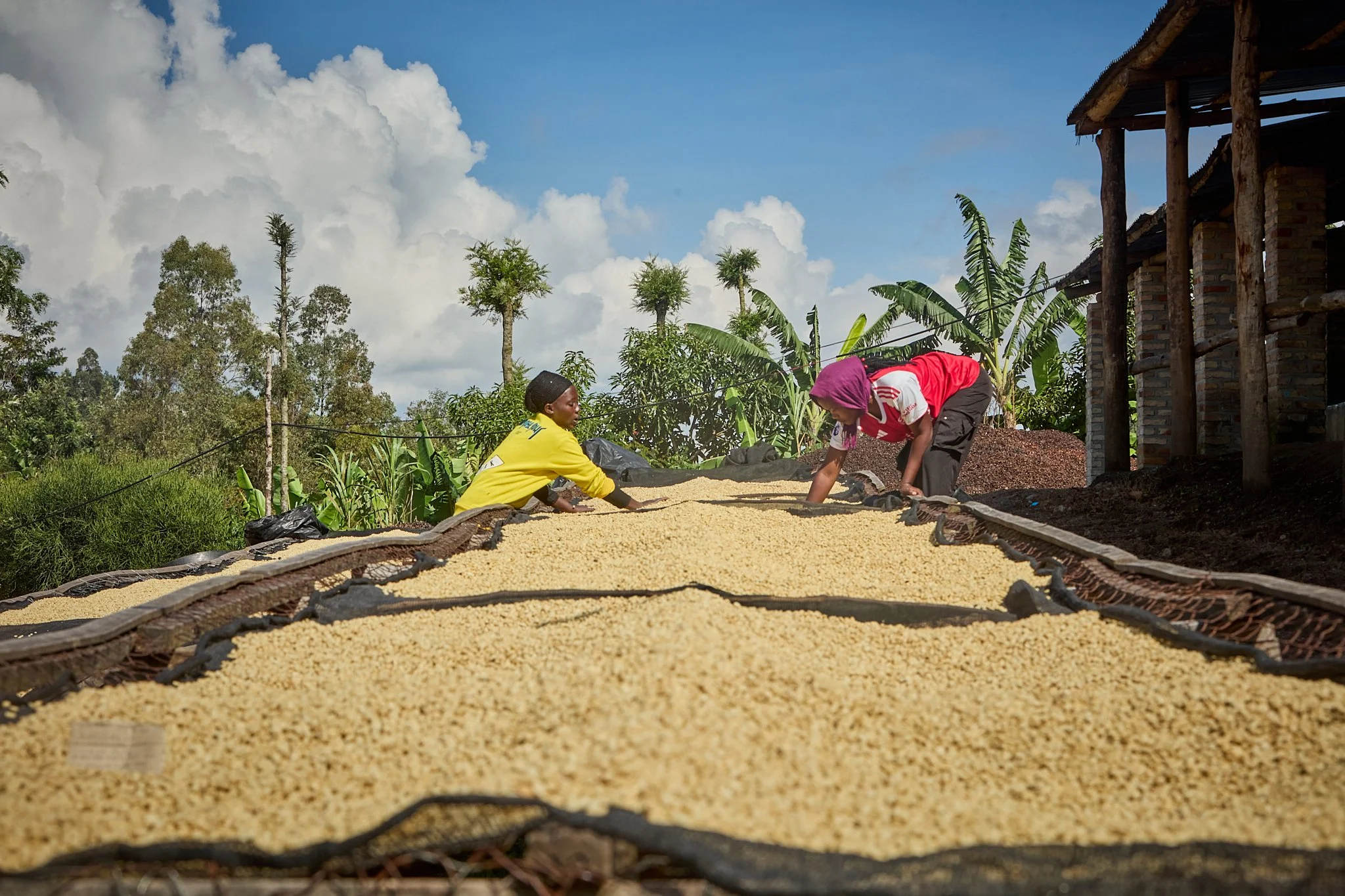 Uganda&Rwanda_3014.jpg