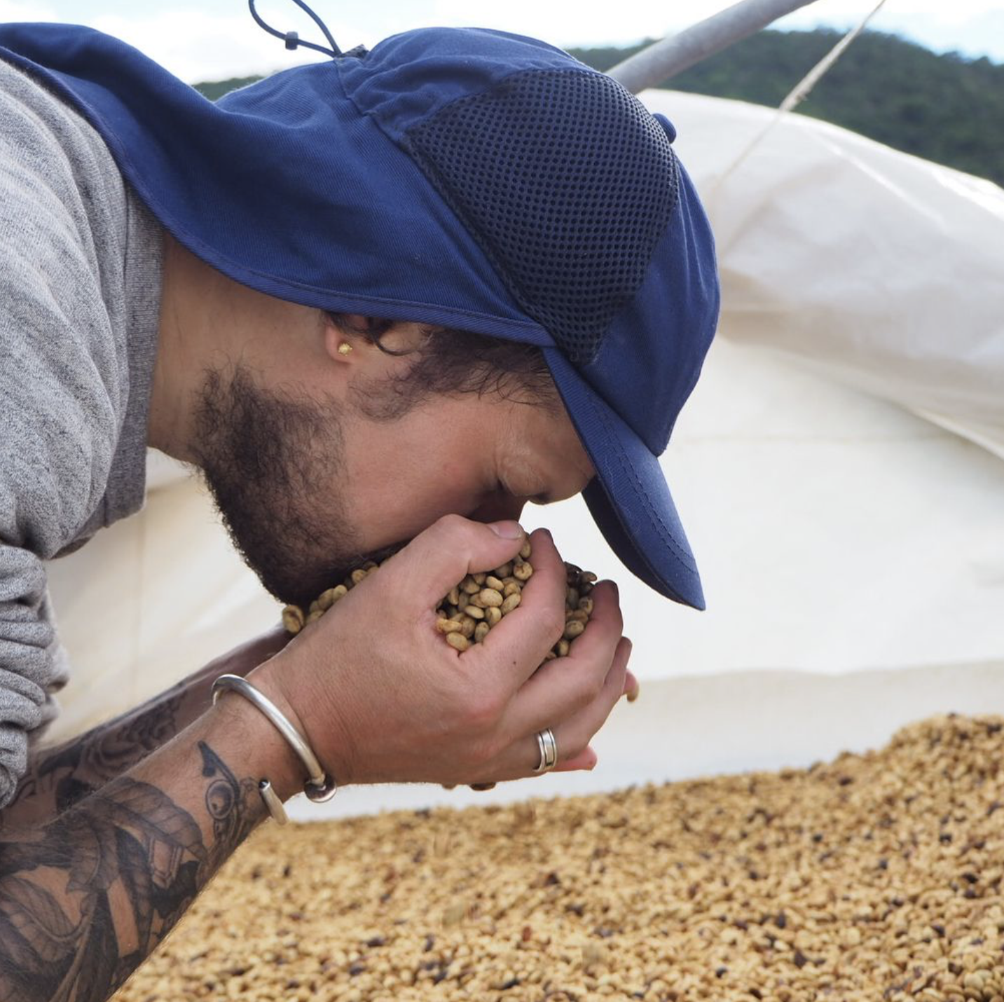 honey process smelling.png