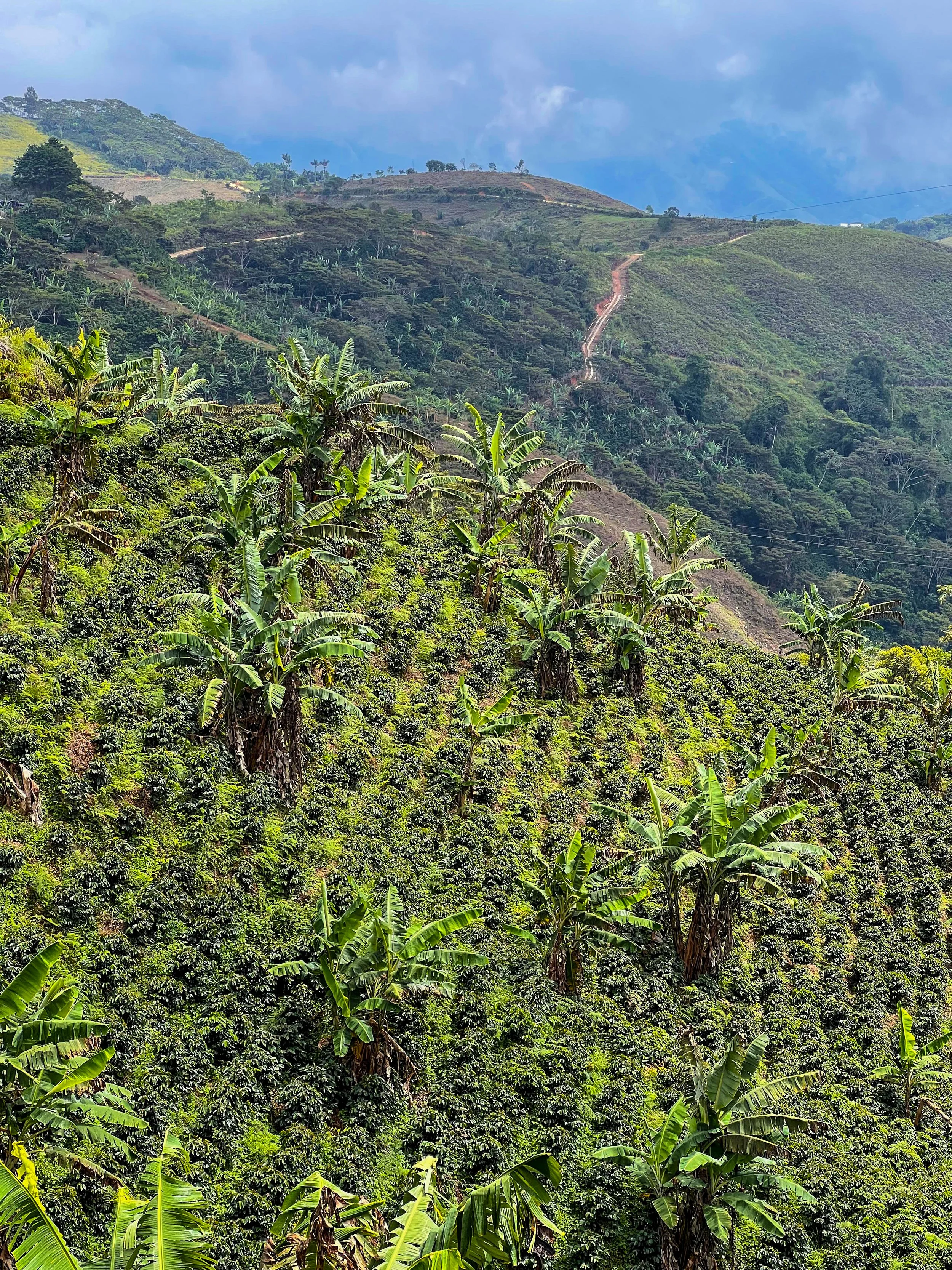 Madre Tierra Colombia MKX_ESP.jpg