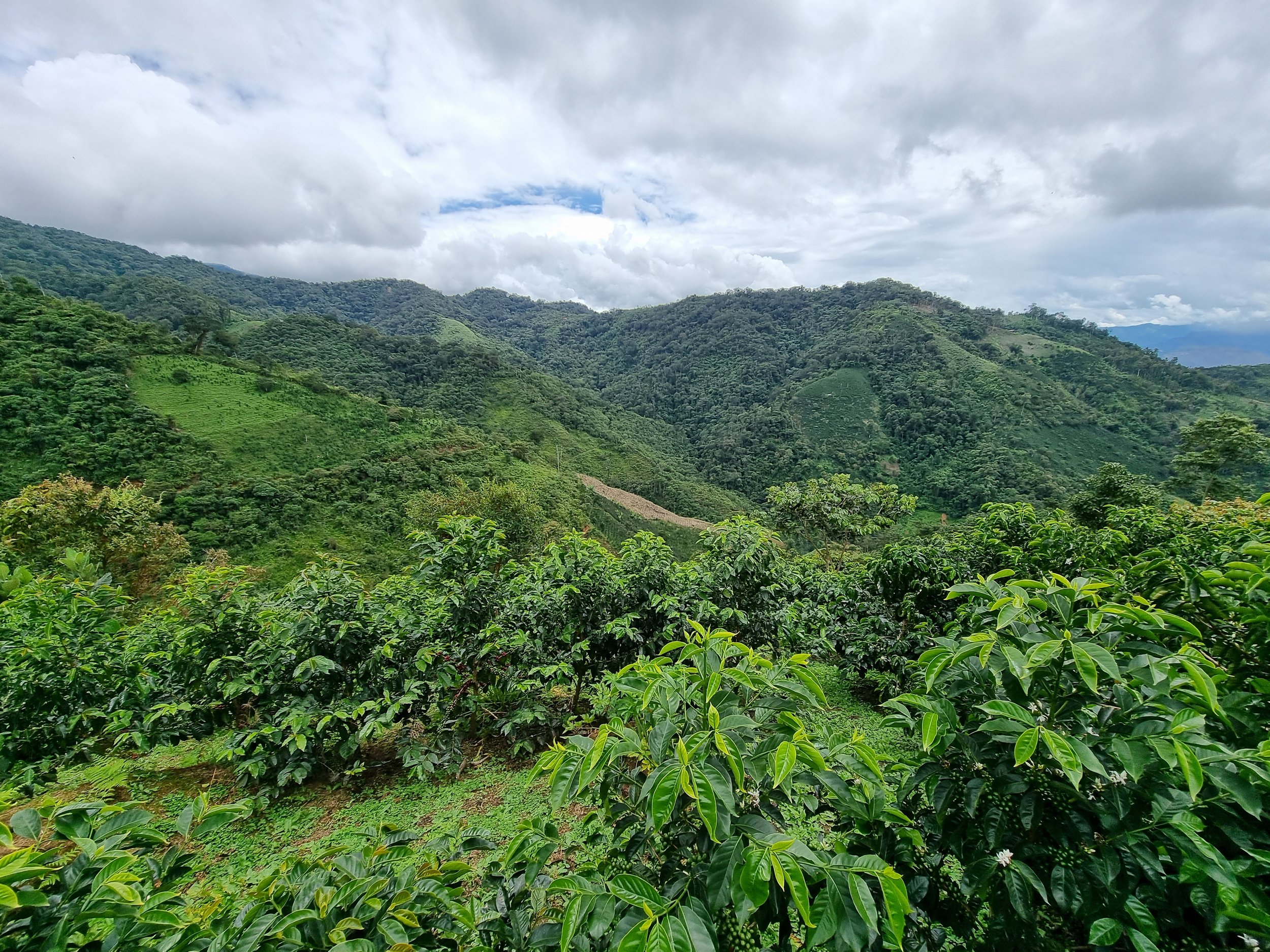 CAJAMARCA RODRIGO PERU LAND.jpg