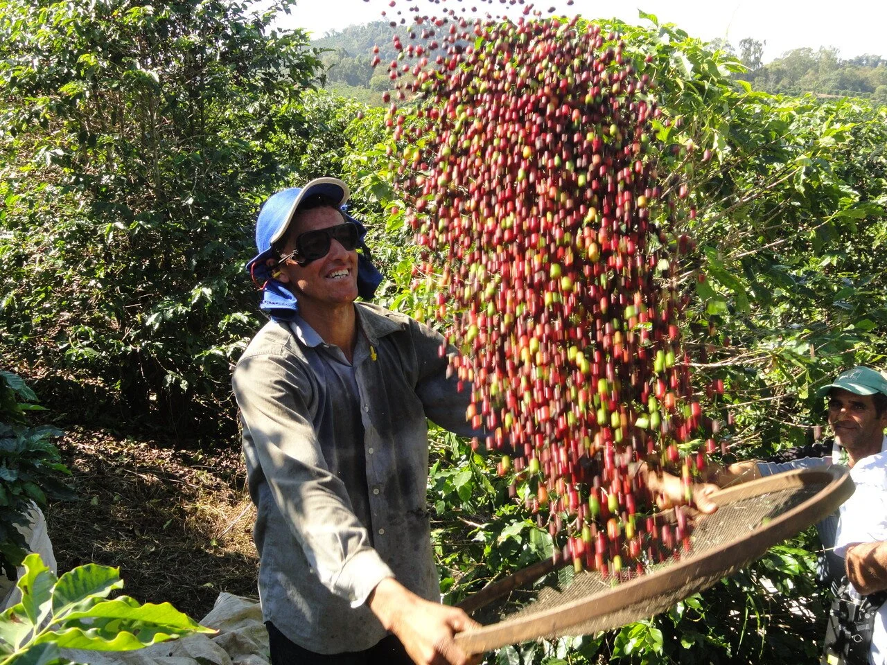 large-16453820-347a-447b-96b7-811dd62dffcb (5).jpg