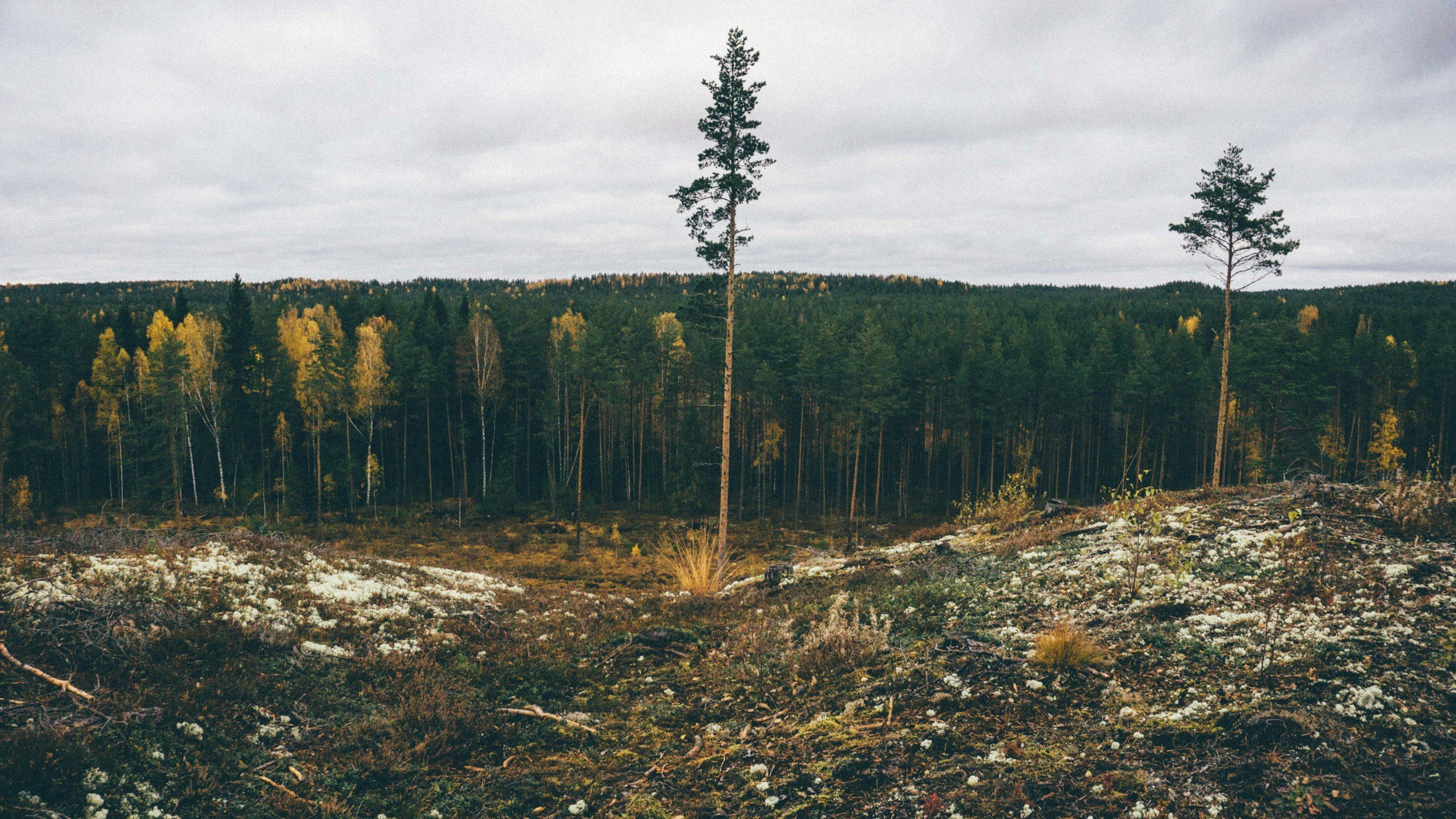 What your business should be doing ahead of an upcoming environmental audit