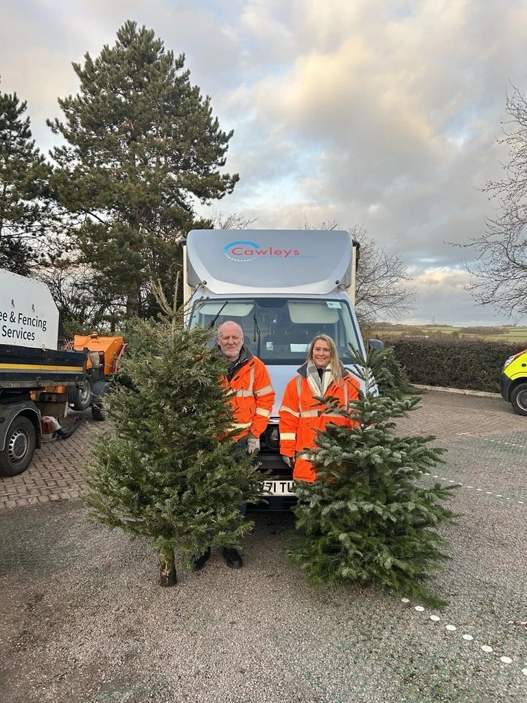 Cawleys supports Keech Hospice with their Christmas Tree Recycling scheme