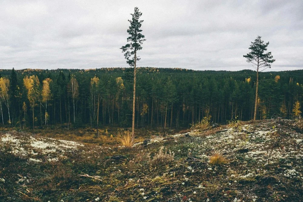 What your business should be doing ahead of an upcoming environmental audit