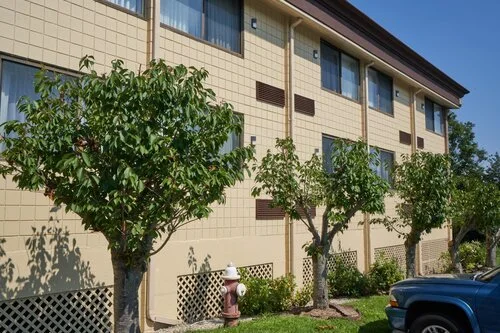 Exterior of a multi-floor building with light beige walls and several small trees in front. A blue vehicle is parked nearby.