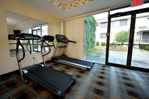 Small gym room with two treadmills facing a large mirror, carpeted floor, and glass doors leading outside. Natural light enters from the glass door, revealing a view of an outdoor area with plants and a building in the background.